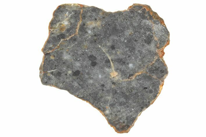Lunar Meteorite ( g) Slice - Bechar #360557